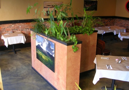 Money Making & Easy to Operate Franchise Store