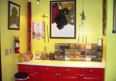 Self Serve Yogurt Shop for Sale in Prime El Dorado County Location 