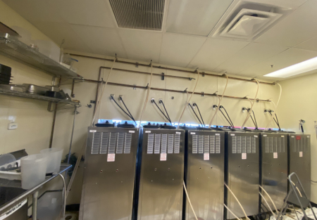 Profitable Scottsdale Yogurt Shop for sale