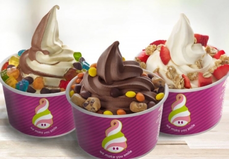 Popular Menchie’s Frozen Yogurt Shop in King County