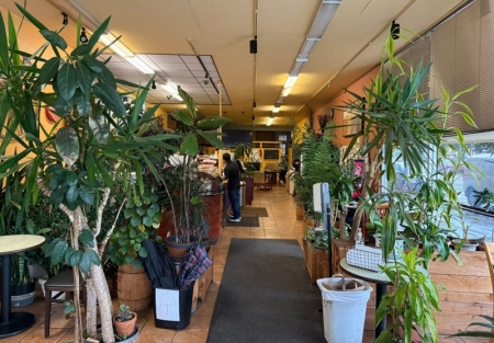 30 years etsbalished coffeehouse for sale in SF Inner Richmond