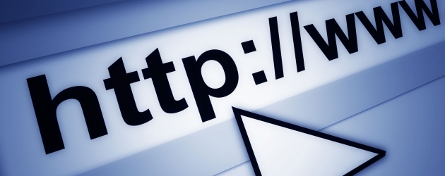 Lunacy From The Left...Is Your Website ADA complaint!