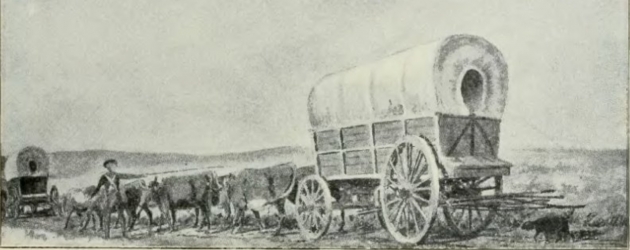 Tax Intricacies for Immigrants